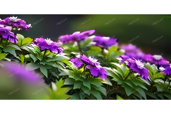 杭州按摩街区探秘：享受养生好去处